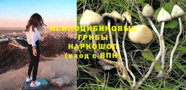 трава Богданович